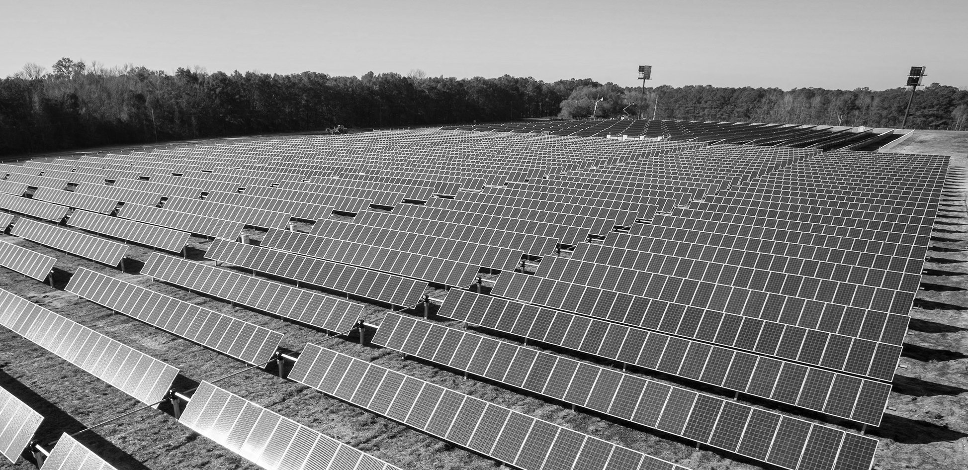 Planet Mark Transforms its Operations for Sustainable Growth